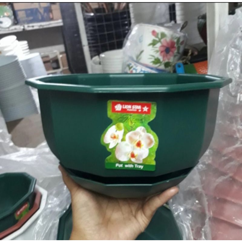 pot gantung lion star 8, pot gantung hijau, pot tanaman hias