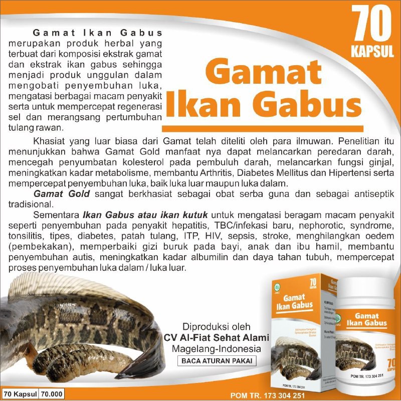 Jual Kapsul GAMAT IKAN GABUS Herbal