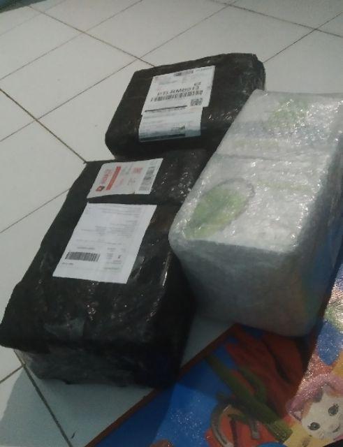 Tempat Tissue Karakter Panda - Tempat Tisu Calista - Kotak Tissu