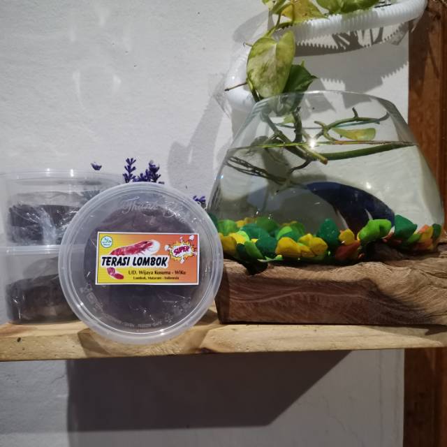 Terasi asli lombok-NTB wiku