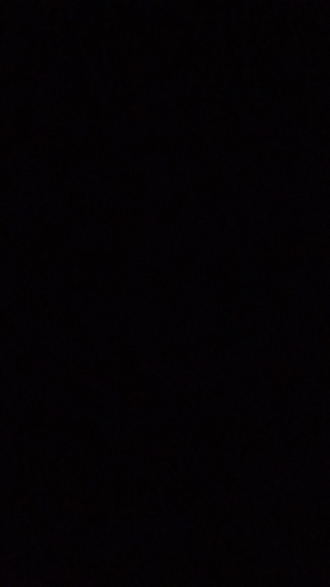 Maxim Wajan Wok 30 Cm Valentino