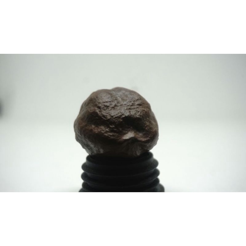 Muncang adu Jalim Reinkarnasi