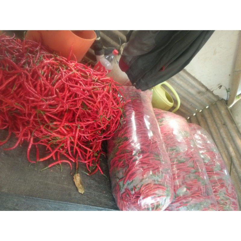 

Sayuran Fresh perkilogram