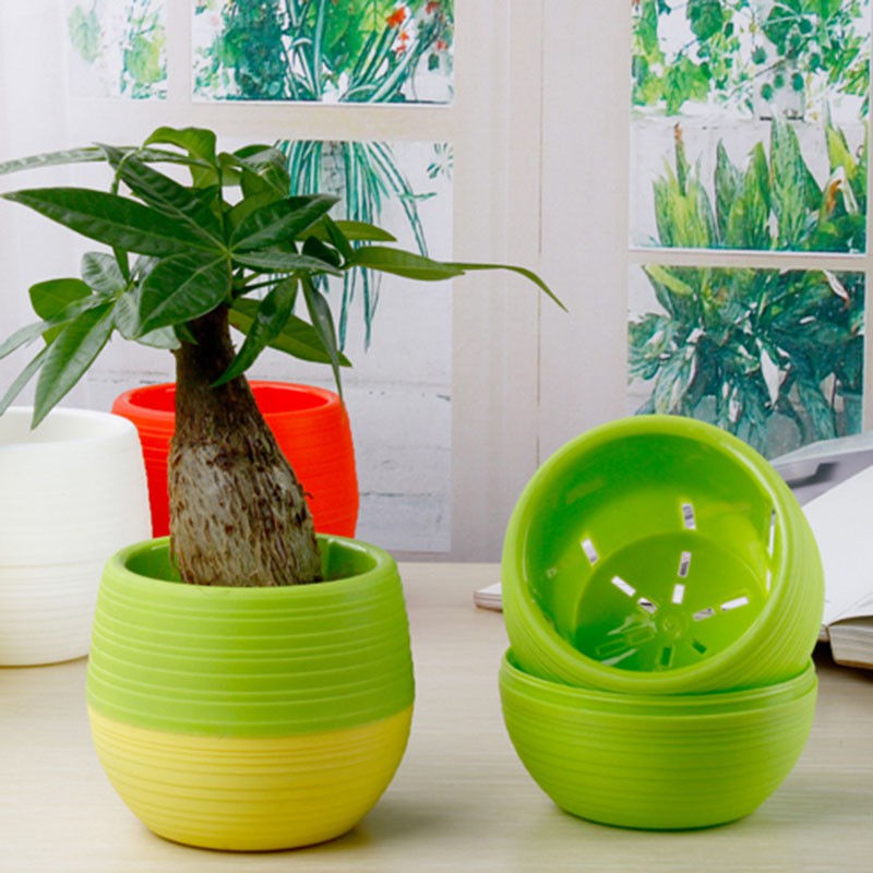 Mini Pot Bunga Hias Kaktus Tanaman (5 PCS) - Multi Color