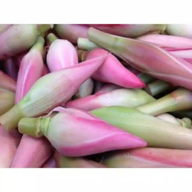 

sayur segar bunga kecomrang per 250 gram