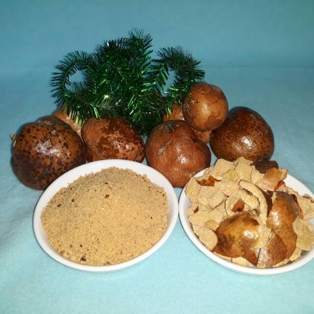 

Buah Zuriyat Per Biji