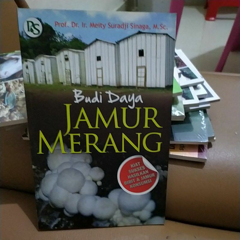 

BUDI DAYA JAMUR MERANG