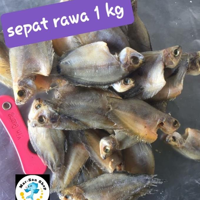 

[COD] ikan asin sepat rawa 1 kg [COD]