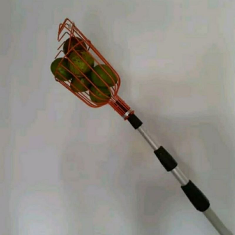 Galah aluminium 4.5 Meter petik buah di ketinggian. Bisa atur kepanjangannya