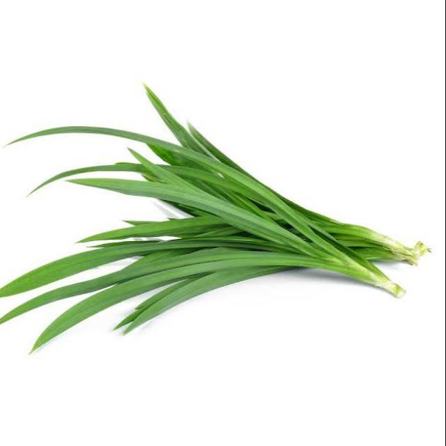 

Daun Pandan