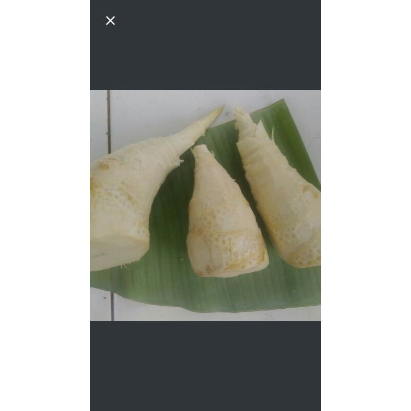 

rebung sayur sudah kupas