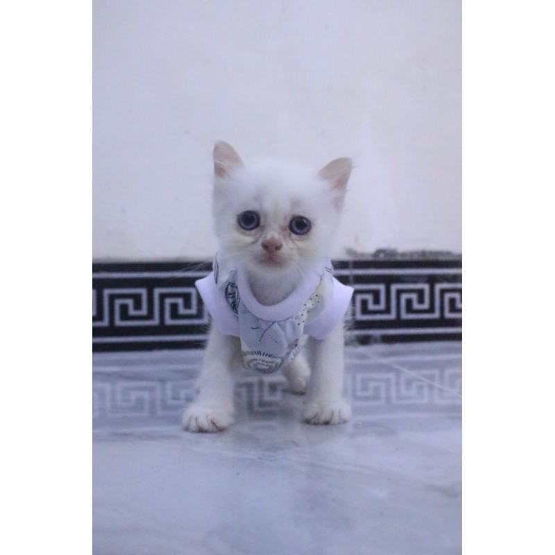 kaos rumahan motif daun abstrak lucu untuk kucing model terlengkap / baju kucing murah size S M L XL