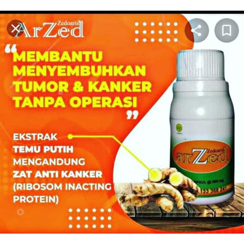 Arzed Sedoaria Herbal Alami