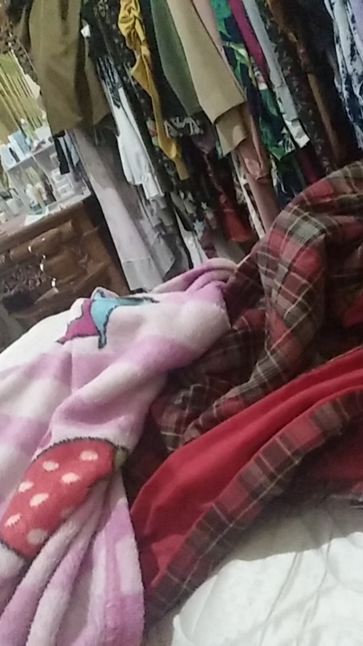 Set Teko Ekonomi +4 Mug D6 Blirik Hijau