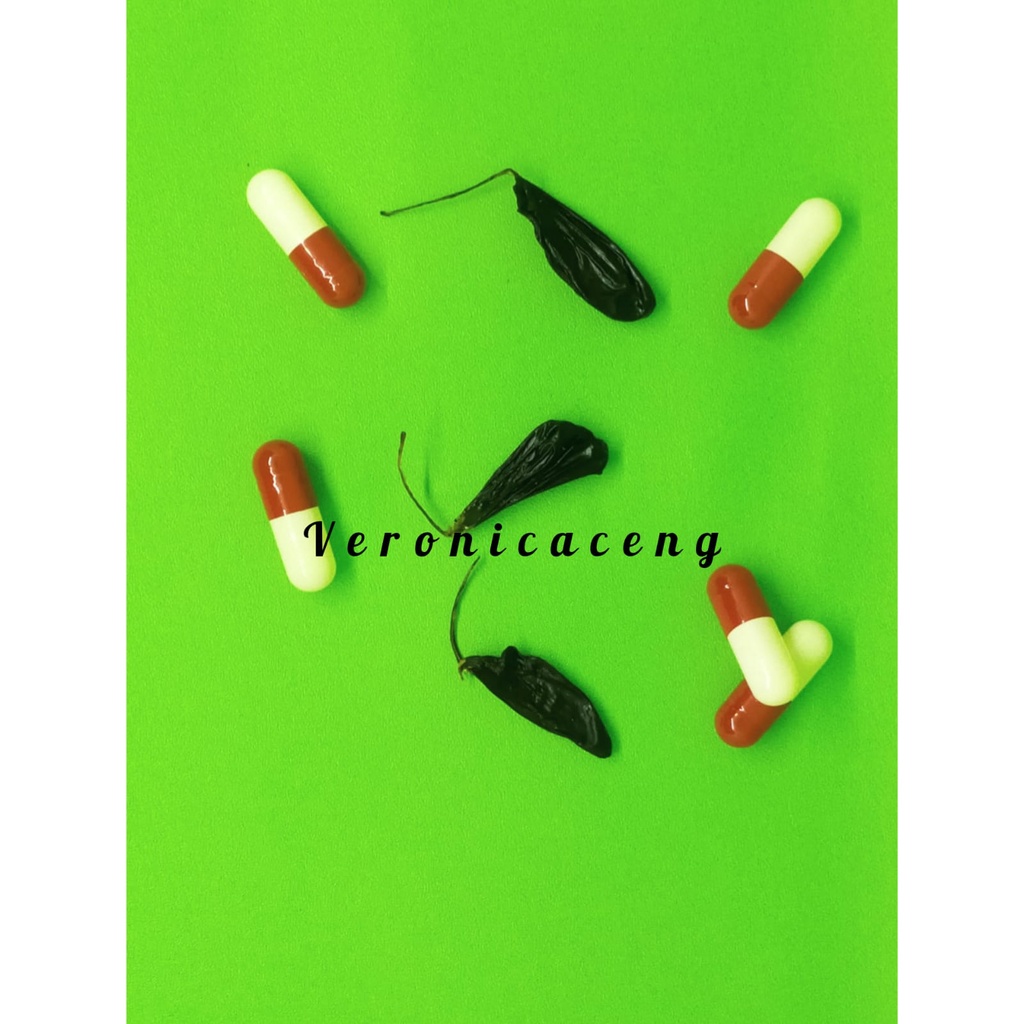 EMPEDU ULAR COBRA SUPER ASLI 100% / SE DAN / OBAT GATAL