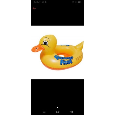 pelampung bebek renang