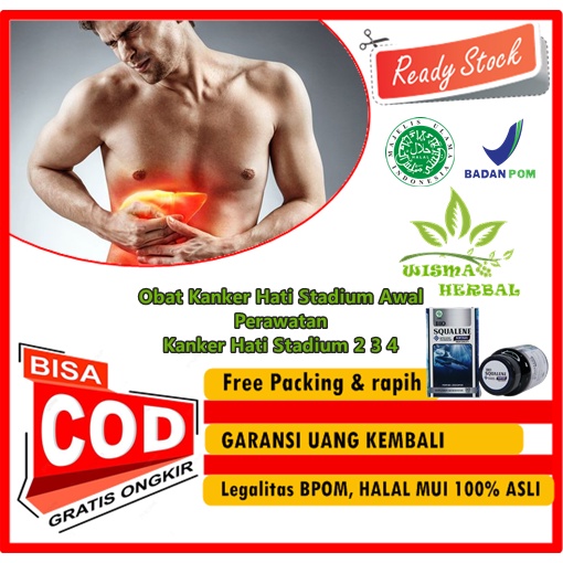 Obat Kanker Hati Stadium Awal - Perawatan Kanker Hati Stadium 2, Pengobatan Alternatif Kanker Hati S