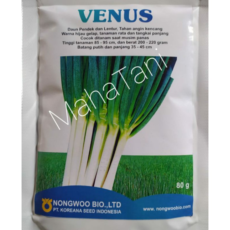 Benih Bawang Daun atau Bawang Prei VENUS 80 gram