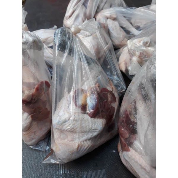 

ayam kampung fresh