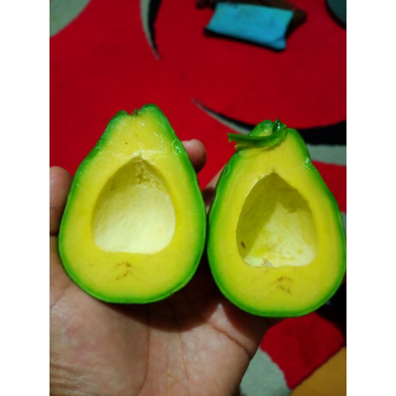 

alpuket mentega from garut