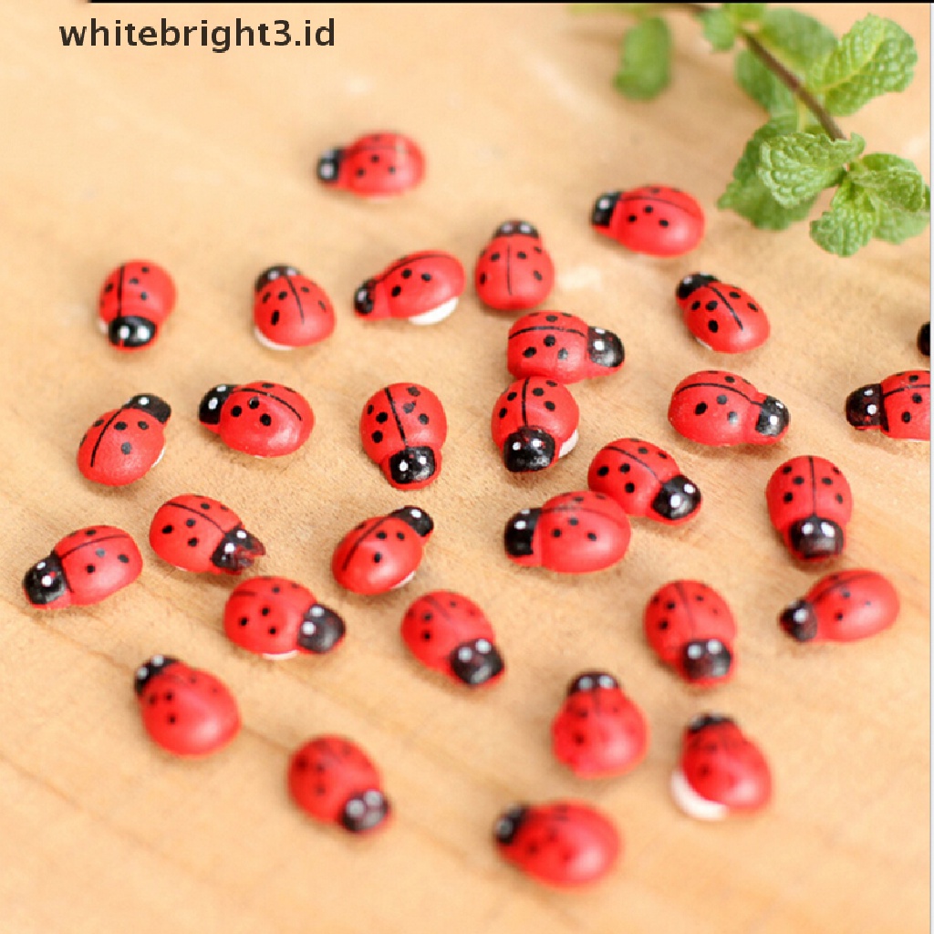 {whitebright3.id} Mini Ladybug Beatles Garden Ornaments Scenery Craft For Plant Pot Fairy Decor ,