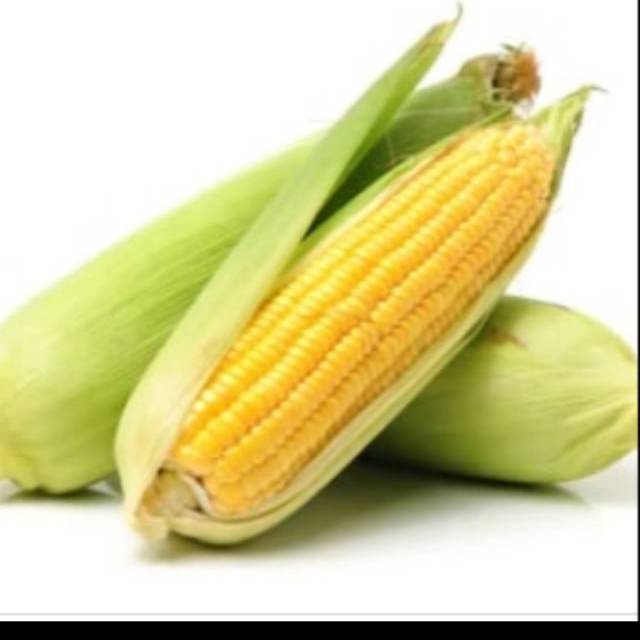 

Jagung lokal segar