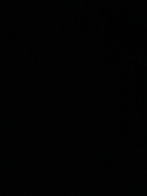 Thinwall 500 Ml Food Container Box Kotak Makanan Plastik