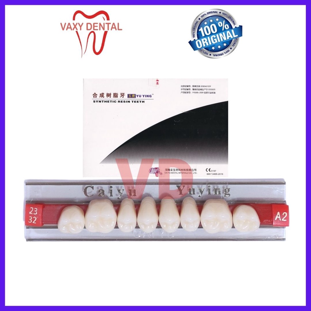 Gigi Caiyu Geraham Atas 1 papan/set/strip isi 8 butir gigi palsu merk cayu yuying posterior upper be