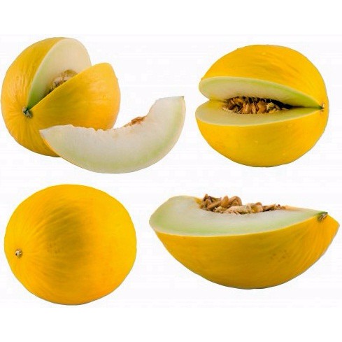 Benih Biji Bibit Buah Melon Golden Kuning Super