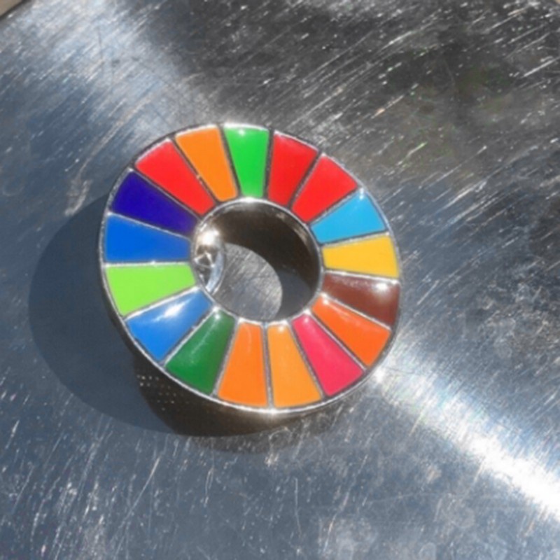 Glitter The Sustainable Development Goals Brooch United Nations SDGs Rainbow Pin Badge