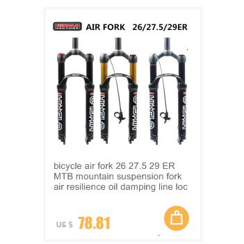 mtb fork damper