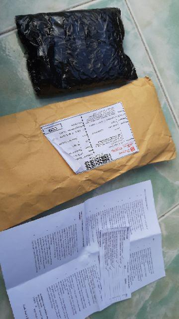 Benih Biji Selada Merah Red Lettuce