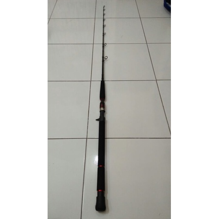 Joran OH Daiwa saltist pe 6-8 (second)