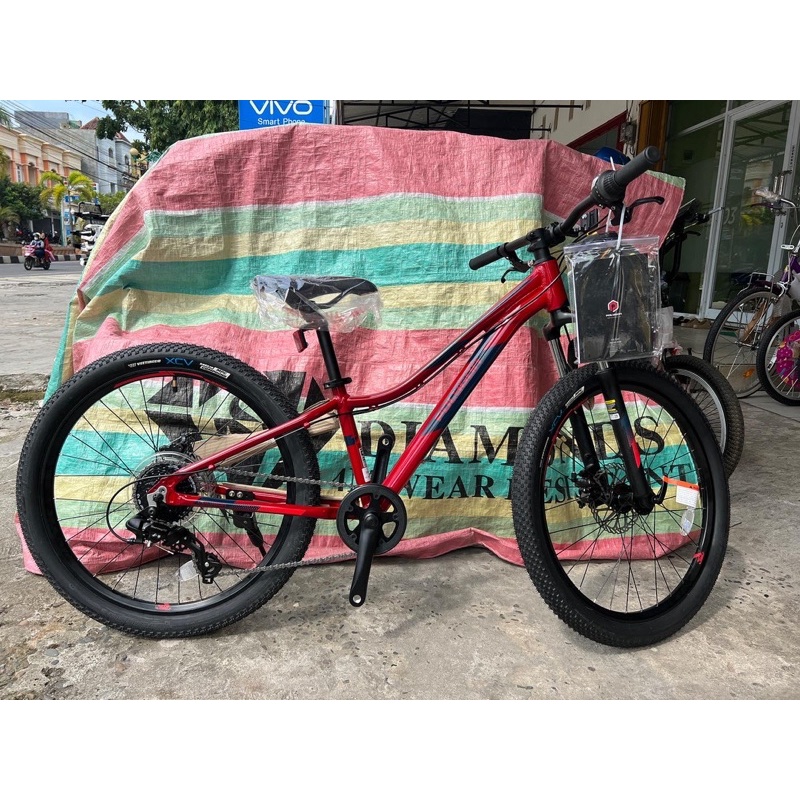 sepeda Polygon rapid 24