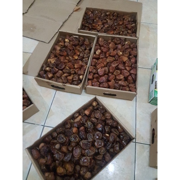 

Kurma sukari