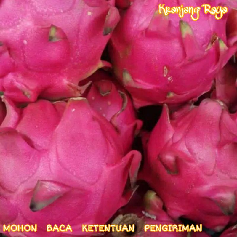 Buah Naga