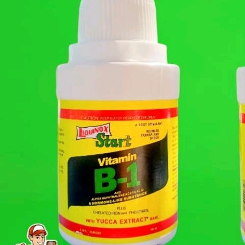 VITAMIN B-1 (100ml)