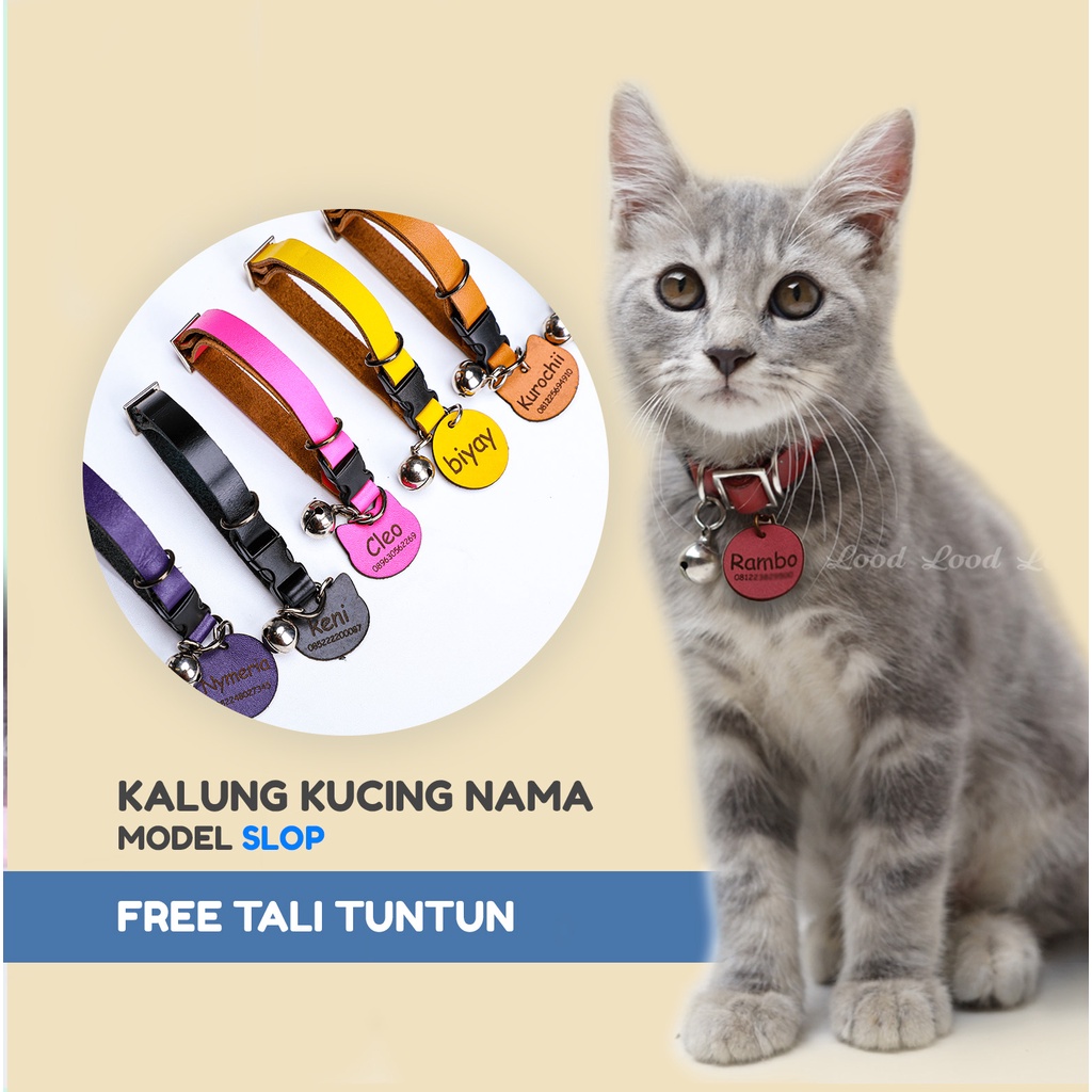 KALUNG KUCING CUSTOM NAMA DAN NO HP KULIT ASLI MODEL SLOP UNTUK KITTEN SAMPAI DEWASA