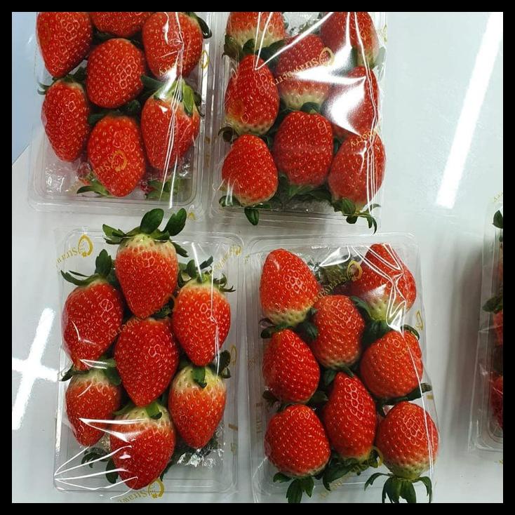 

Strawberry Korea Import