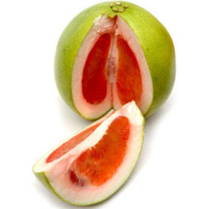 Bibit Jeruk Pamelo Bali Merah Madu