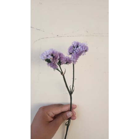 bunga kering statice, Preserved Statice, bunga kering statice ungu