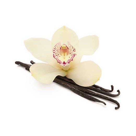

p4yu Bumbu Tabur Rasa Vanilla, Jual Bumbu Tabur Vanila Milk Murah, Vanilla Milk Seasoning