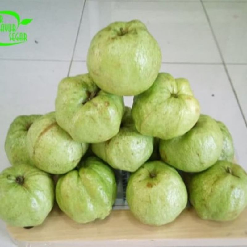 

Jambu Kristal Fresh