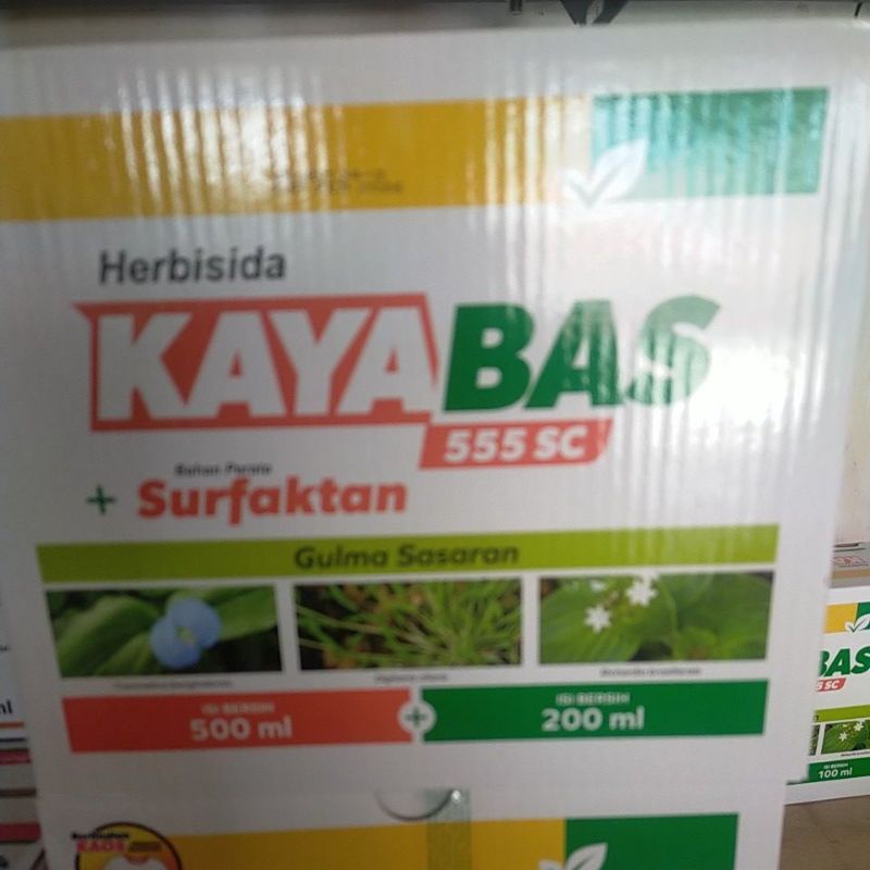 kayabas 500