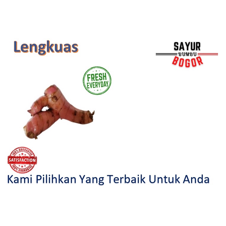 

Lengkuas / Lengkoas / Laja / Bumbu