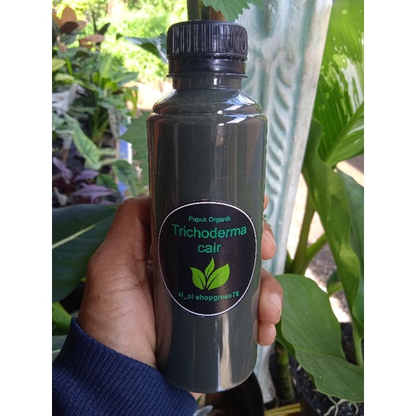 Trichoderma sp/pupuk hayati Trichoderma 250ml