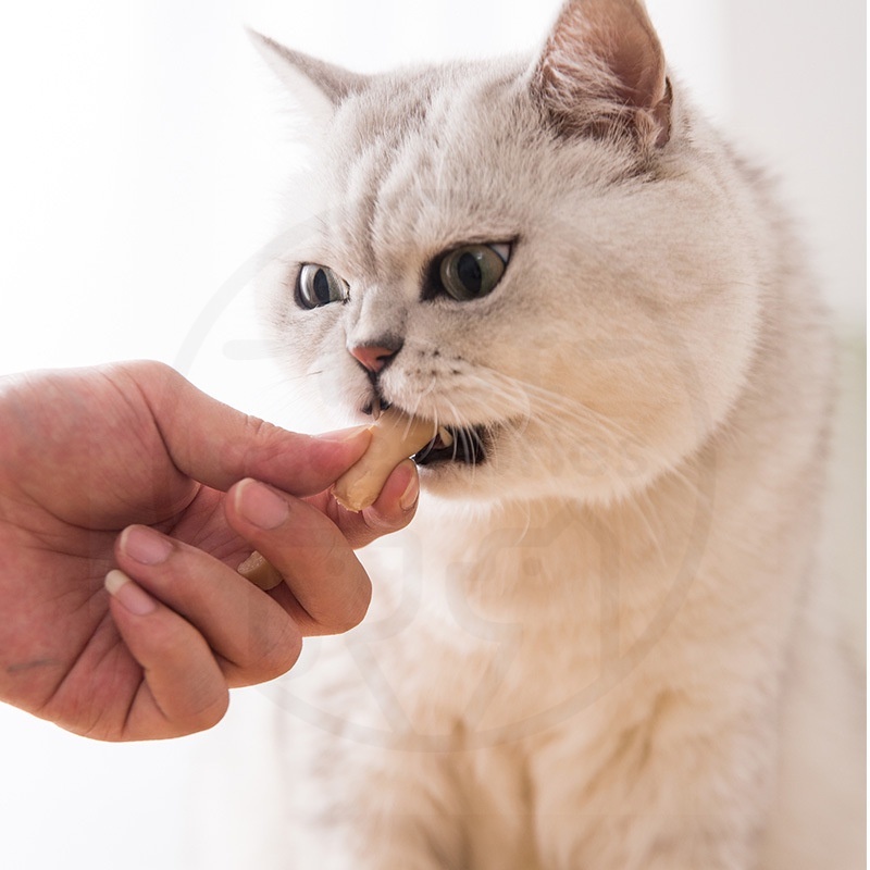 Sosis Kucing Anjing 15g Sosis Snack Pet Bergizi Makanan Pet Cemilan