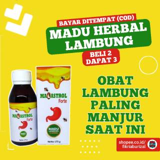 Madu Zestmag Ahlinya Lambung