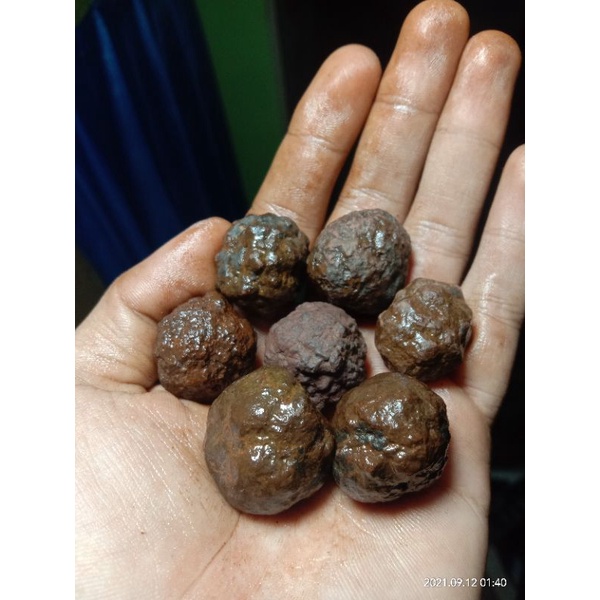 munta besi jumbo / monta bassi jumbo aktif