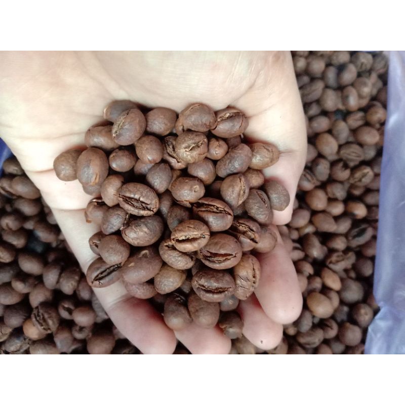 

KOPI LANANG/BIJI KOPI TUNGGAL/PEABERRY ROASTING